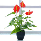 16.1'' Artificial Potted Flowers Anthurium Artificial Plant Bonsai Fake Tropical Greenery Plant,For Indoor Outside Home Garden Office Deck Porch Wedding Decorations,Red