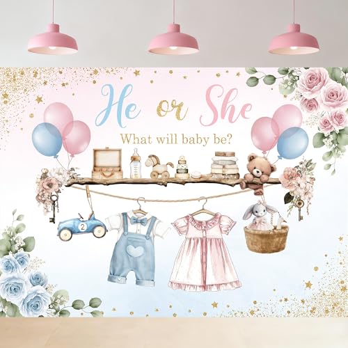 Gender Reveal He Or She Pink Photography Backdrop