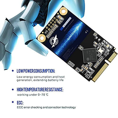Dogfish Msata Ssd 256Gb 3D Nand Tlc Sata Iii 6 Gb/S, Msata (30X50.9Mm) Internal Solid State Drive - Compatible With Desktop Pc Laptop - (Msata 256Gb)