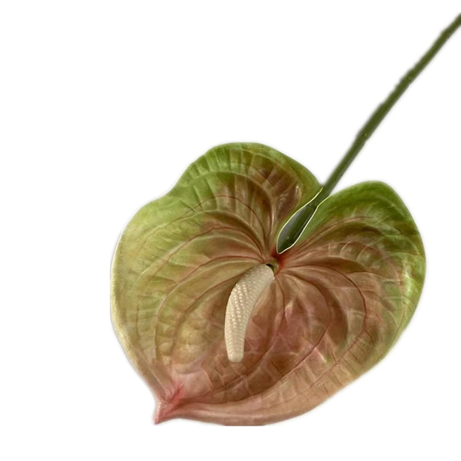 8Pcs Artificial Anthurium Flower Branch 60Cm 3D Printing Effect Faux Real Touch Single Stem Per Piece Anthurium For Home Table Floral Decoration (Chamapgne With Ligth Green)