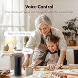 Smart Electrical Outlet With 2 Controlled Plugs And Type-C Charging, In-Wall Smart Wi-Fi Outlet With Voice And App Remote Control, Compatible With Alexa And Google Assistant, 2.4Ghz Wi-Fi Only