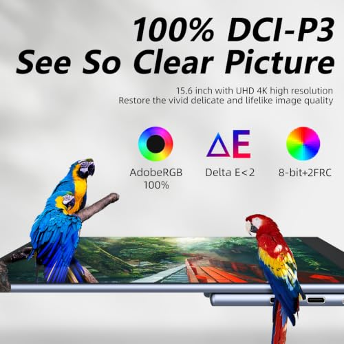 Portable Monitor 15.6 Inch 4K Uhd 3840X2160 100000:1 100% Dci-P3 60Hz Oled Touchscreen Hdr Hdmi Usb-C Travel Monitor For Laptop Macbook Pc Surface Ps5 Xbox, External Display With Kickstand