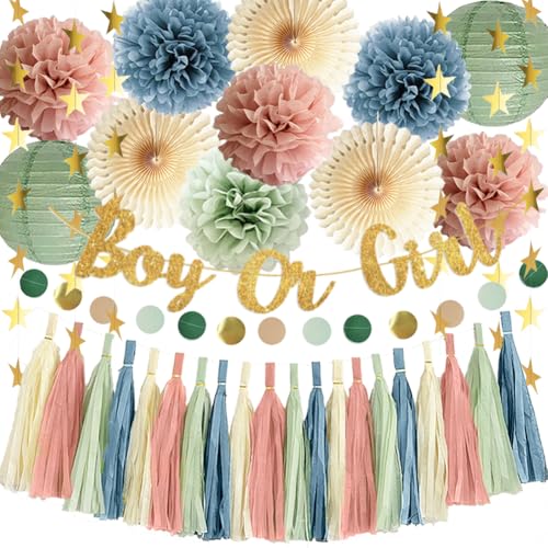 Gender Reveal Decorations Dusty Pink and Blue Baby Shower Decorations Boy Or Girl Banner Sage Dusty Pink Blue Paper Pom Poms Fans Paper Tassel Garland for Baby Girls Boys Shower Party Decor