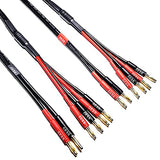 CESS-106-6f Bi-Wire Banana Plug Splitter Speaker Cable, 2 Banana Plugs to 4 Banana Plugs, 12 Gauge, 2-Channel (6 Feet)
