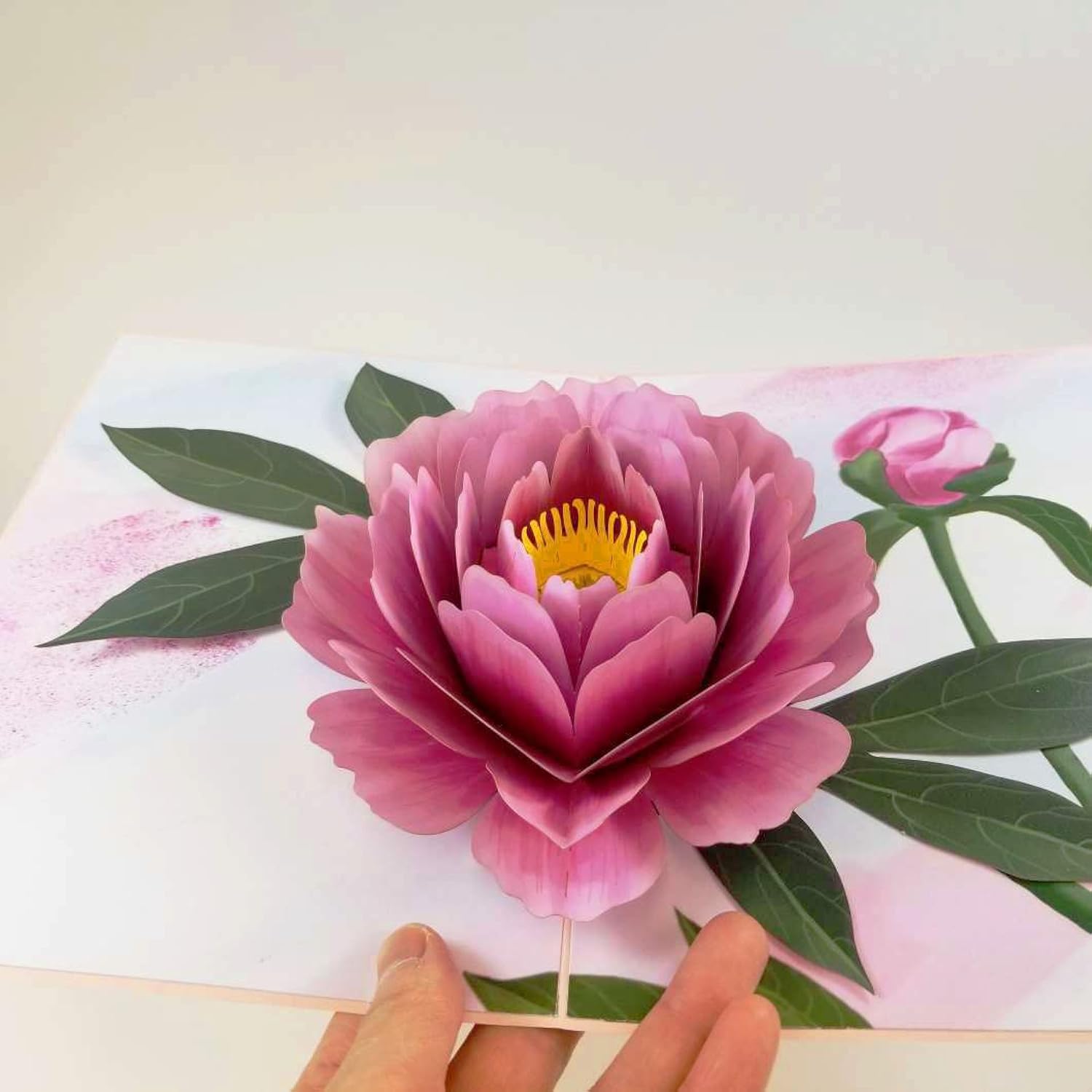 Peony Flower Pop Up Card - Birthday, Retirement, Graduations, Thank You And Celebrations For Mom, Her, Girl, Wife