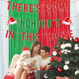 Christmas In July Decorations, Funny Merry Xmas Banner Clearance There'S Some Hohohos In This House Garland With Red Green Fringe Curtains Holiday Party Supplies Birthday Gifts For Women Men