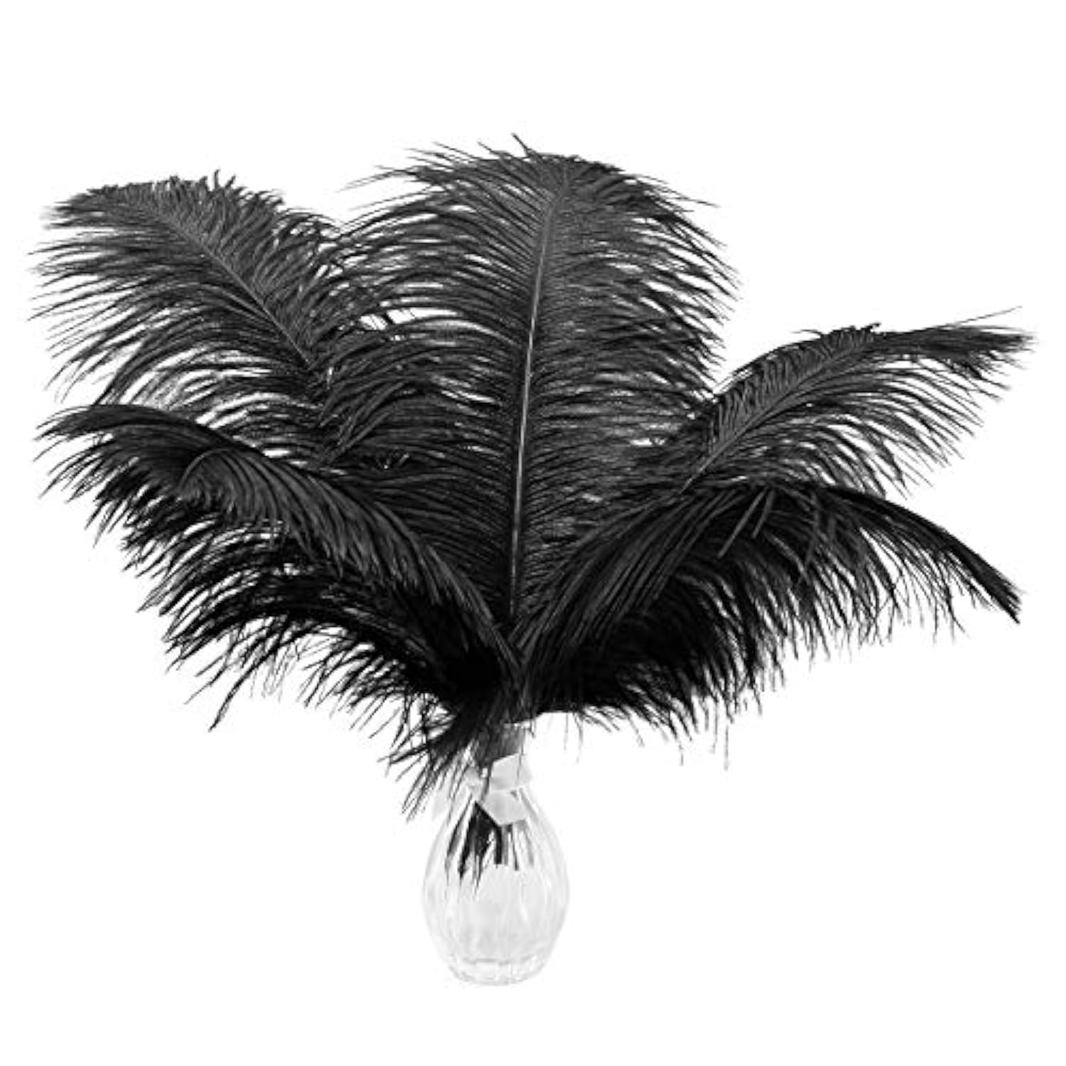 24Pcs Natural Black Ostrich Feathers 10-12Inch (25-30Cm) For Wedding Party Centerpieces?Flower Arrangement And Home Decoration.