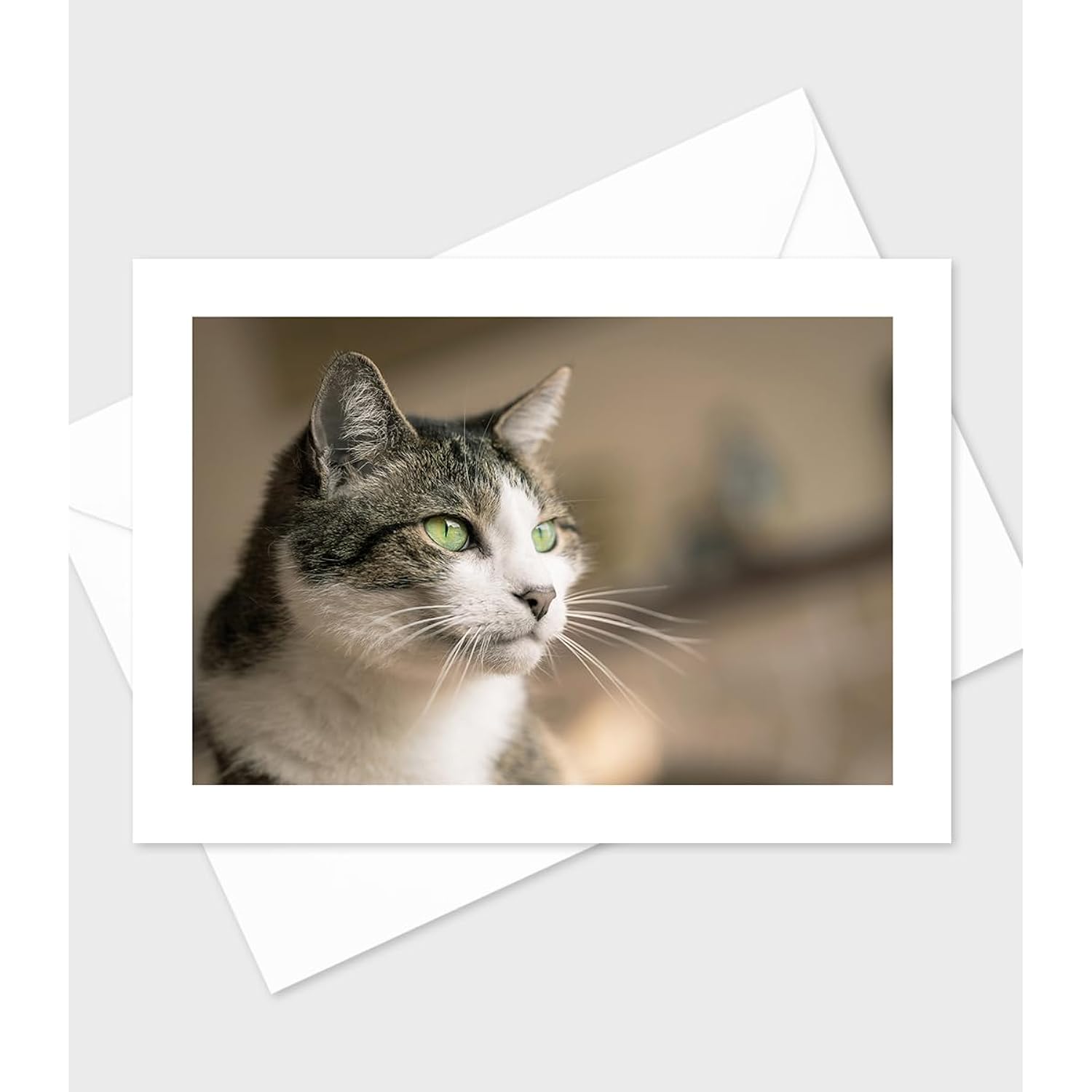 Adorable Cats And Kittens Greeting Cards-Set Of 10 All Occasion 5X7 Note Cards With Envelopes. Blank Inside. Cute Photos Of Lovable Furbabies!