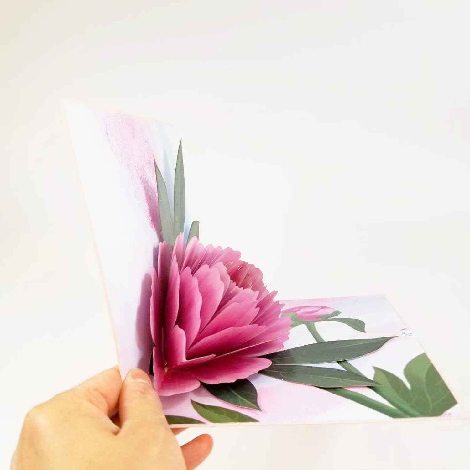 Peony Flower Pop Up Card - Birthday, Retirement, Graduations, Thank You And Celebrations For Mom, Her, Girl, Wife