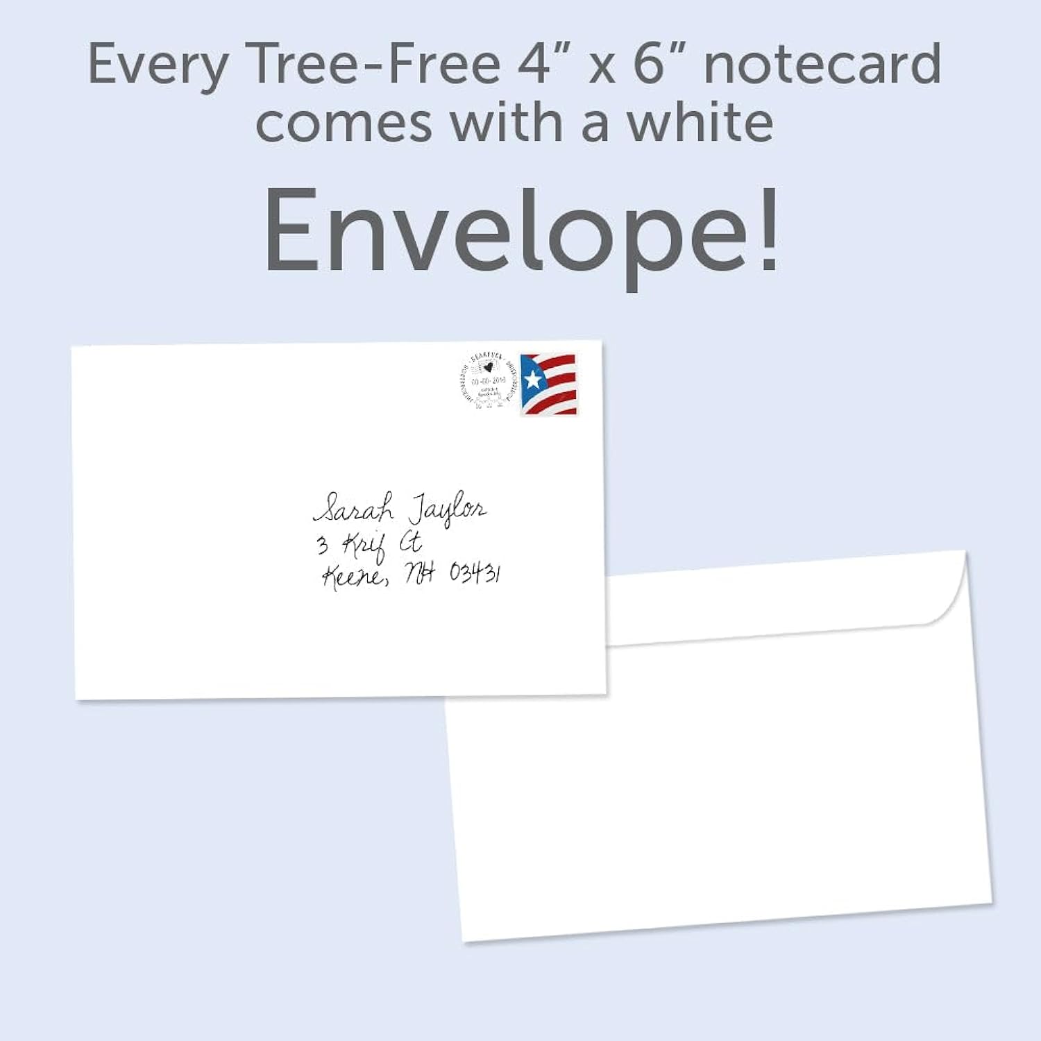 Tree-Free Greetings - Valentine's Day Greeting Cards - Artful Designs - 12 Cards + White Envelopes - Made in USA - 100% Recycled Paper - 4 x 6 - Squirrel Nuts (FS64392)