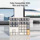 Kn34 Wired Mechanical Number Pad- 34 Keys Hot Swappable Numeric Keypad With White Backlight& Pbt Keycaps For Laptop, Macbook, Pc Desktop, Compact Keyboard(Retro Beige,Brown Switch)