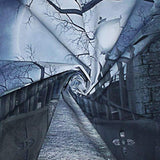 Halloween Theme 6x9FT Seamless Photography Backdrop Cloth Studio Prop TP17