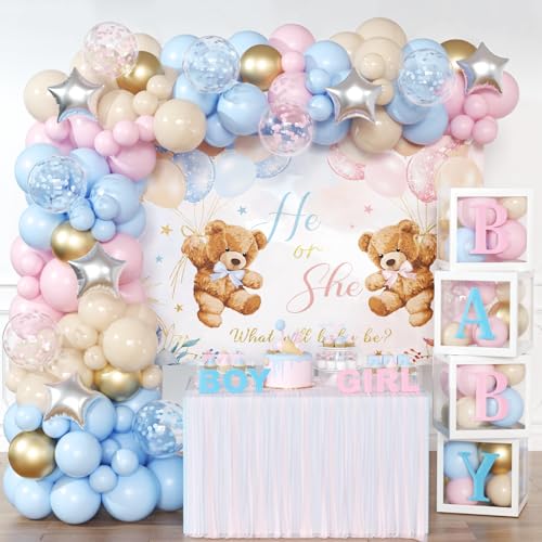 Bear Gender Reveal Decorations for Boy or Girl Bear Theme Party