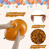80pcs Burnt Orange Balloons Arch Kit 12 & 5 Inch Balloons for Halloween Thanksgiving Baby Shower