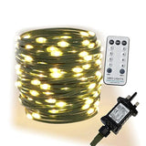 Warm White Led Fairy Lights, Christmas Lights, Indoor/Outdoor Waterproof String Lighting On Green Wire, Small Twinkling