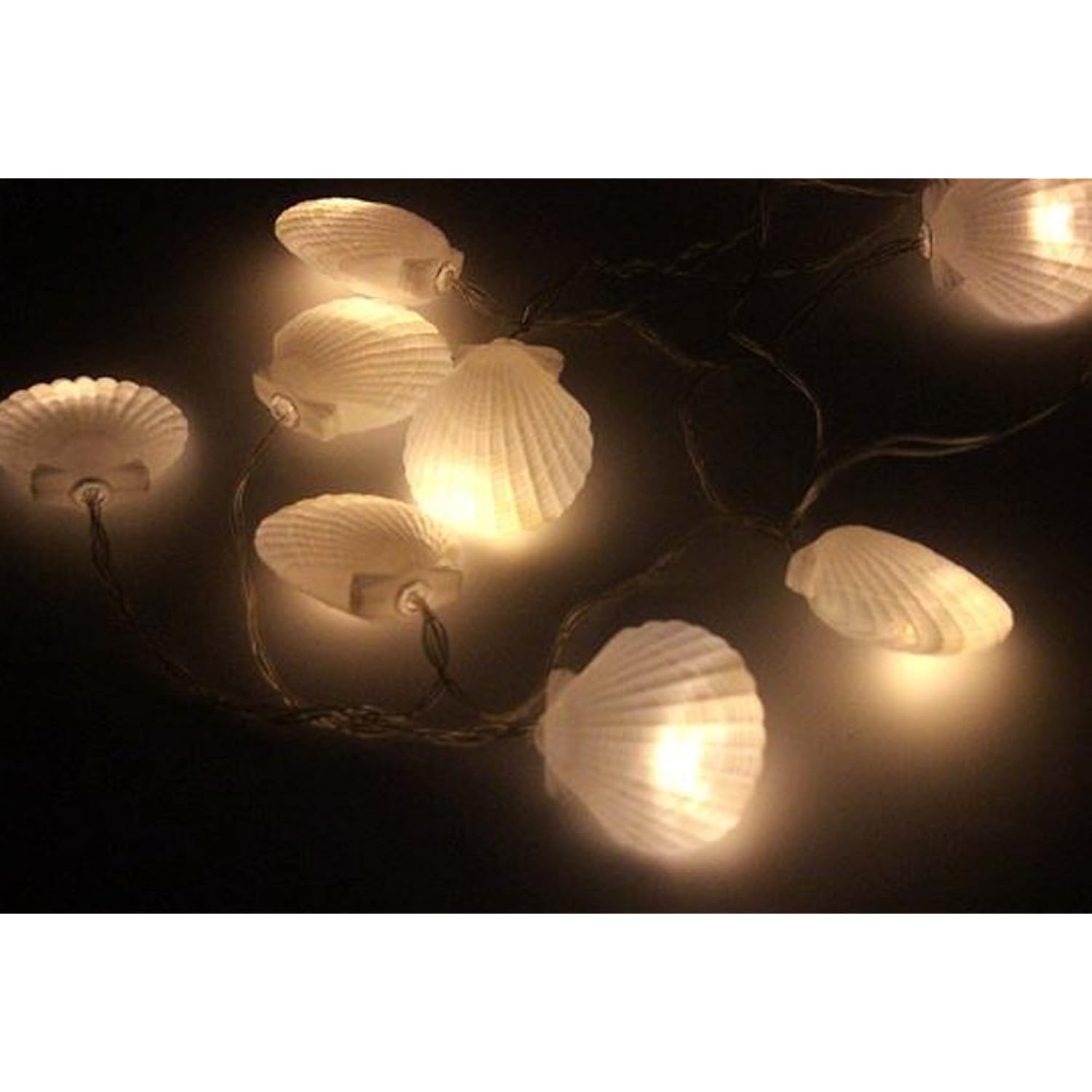 Remote Shell String Lights, 10 Ft Shell Shapped Light With 20 Leds, Battery Powered Sea Shell String Lights For Christma