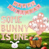 Some Bunny Is One First Birthday Party Supplies, Some Bunny Is One Bal