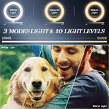 Ring Light With Stand Phone Holder - 10'' Desktop Led Circle For Laptop, Computer, Lighting Kit Gifts Live Streaming Video Webcam Conference Makeup Youtube Tikto Vlog