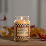 Candleberry Candles Fall And Winter Scents | Strong Fragrances For Home | Hand Poured In The Usa | Highly Scented & Long Lasting | Large Jar (Amber Glow)