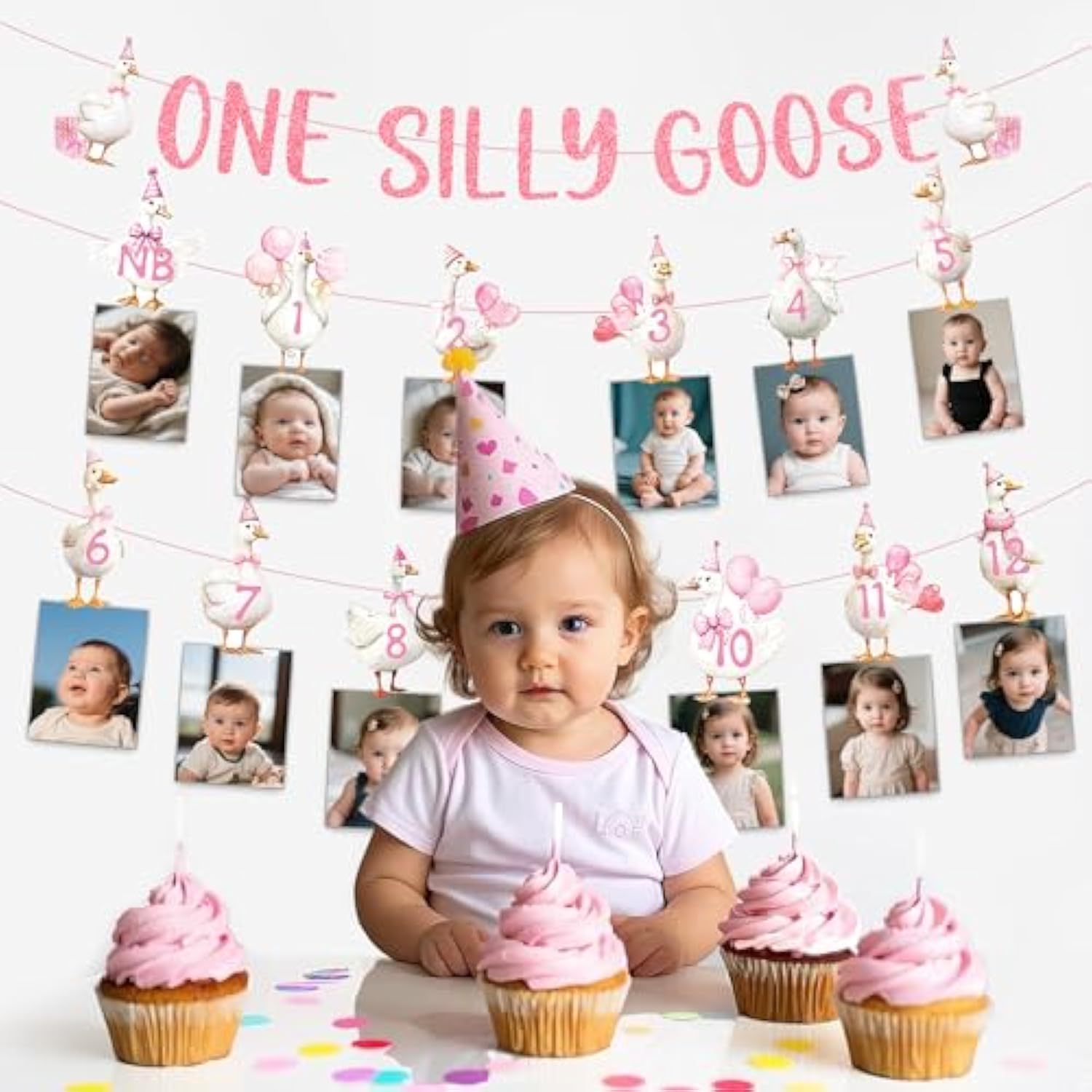 One Silly Cute Goose Birthday Decor 1st Birthday Photo Banner Garland Pink Farm Supplies