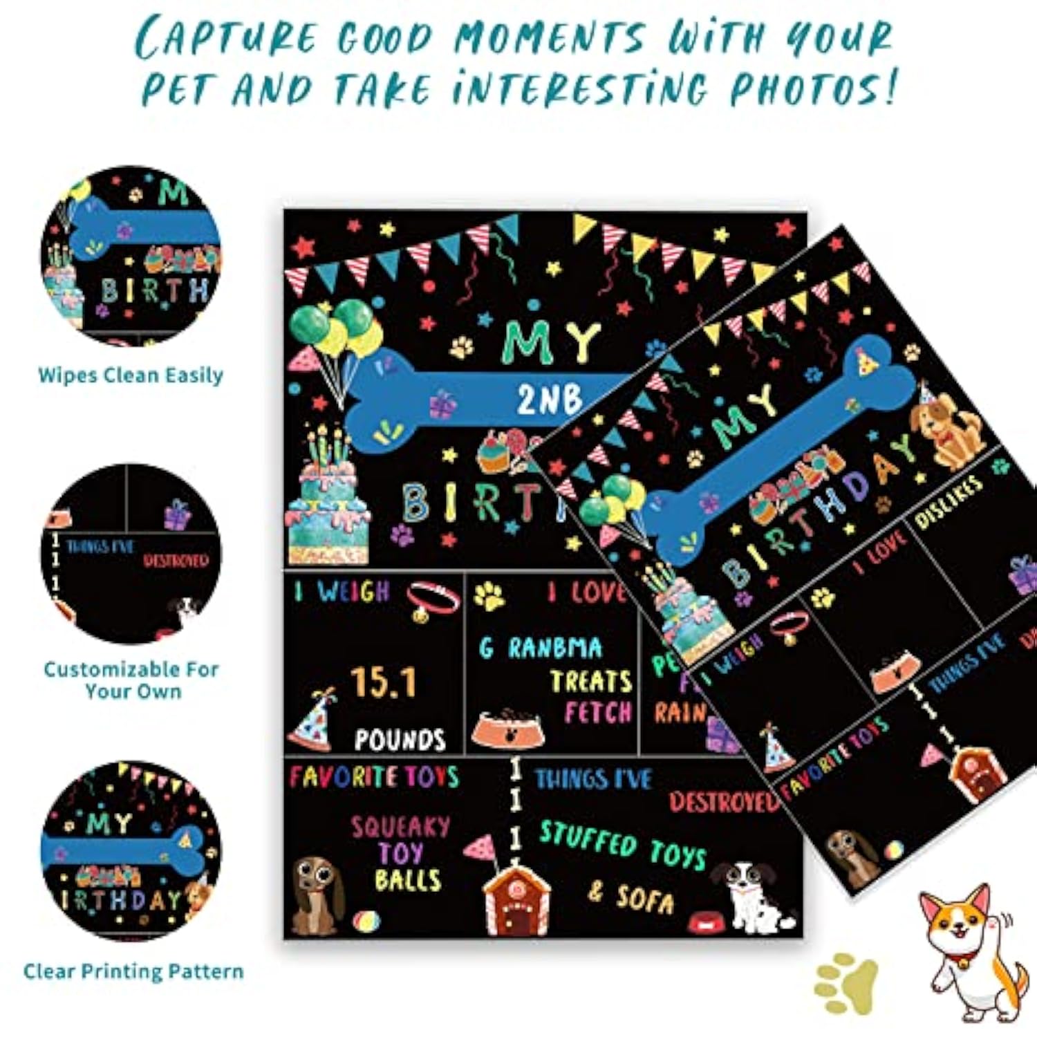 Boy Dog Birthday Party Decoration Set: Hat, Bandana, Bowtie, Banner, Balloons