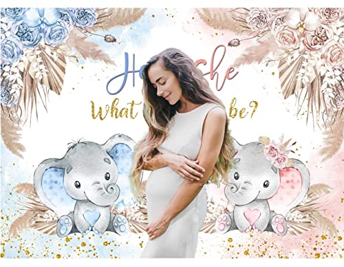 Boho Elephant Gender Reveal Backdrop He or She What Will Baby Be Gender Reveal Party Decorations Pink Blue Pampas Grass Photography Background Boy or Girl Baby Shower Photoshoot Props 7x5ft