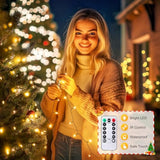Led Christmas Lights For Indoor,39 Ft 100 Led Christmas Tree Lights With Remote, Usb Plug, Adapter, Warm White Mini Stri