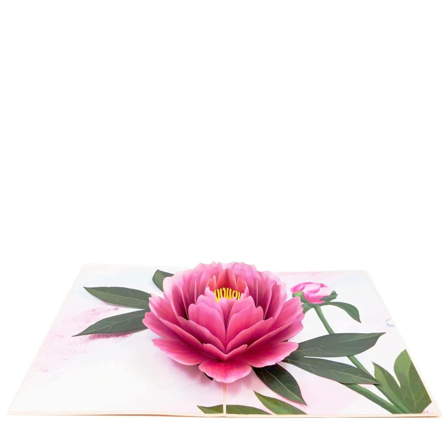 Peony Flower Pop Up Card - Birthday, Retirement, Graduations, Thank You And Celebrations For Mom, Her, Girl, Wife