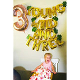 13Pcs Young Wild And Three Balloon Young Wild And Three Banner Young Wild And Three Decorations For Boy Girl Third Birthday 3Rd Birthday Balloon Decorations