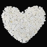 1600Pcs White Buttons For Crafts Assorted Sizes Button White In Bulk W