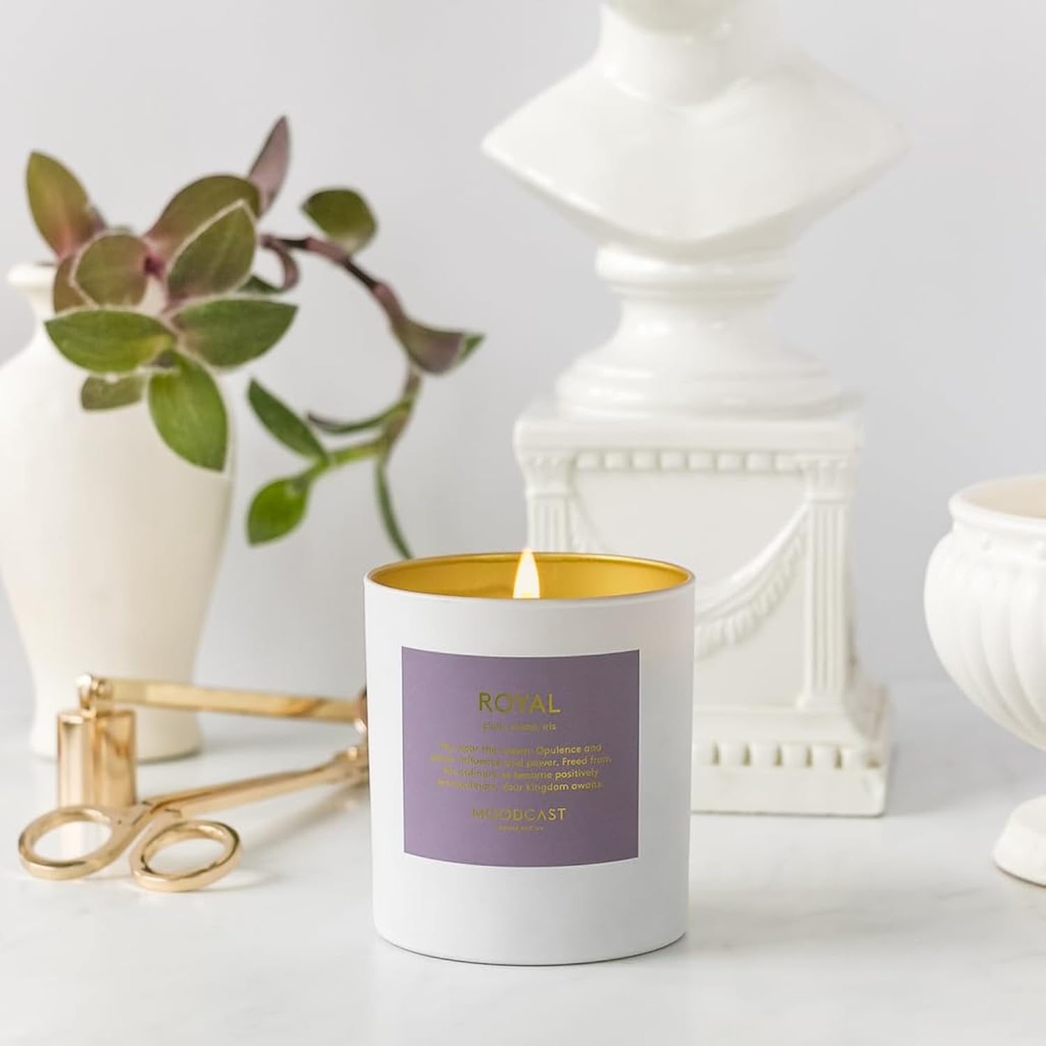 Royal Scented Candle - Aesthetic Candle For Home, Plum, Cassis & Iris, Clean Coco Wax Blend, Vegan, Paraben Free, 45-Hour Long Lasting Burn - 8Oz