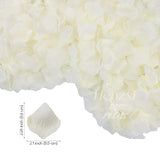 1000 Pcs Rose Petals, Artificial Flower Petals, For Romantic Night, Wedding, Event, Party, Valentine Decor (1000 Pcs, Ivory)