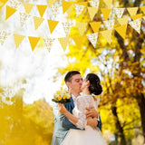 44Ft Daisy Party Decoration Yellow Buffalo Plaid Floral Daisy Banner Bunting Hanging Paper Triangle Garland For Spring Birthday Wedding Bridal Shower Engagement Bachelorette Baby Shower Party Supplies