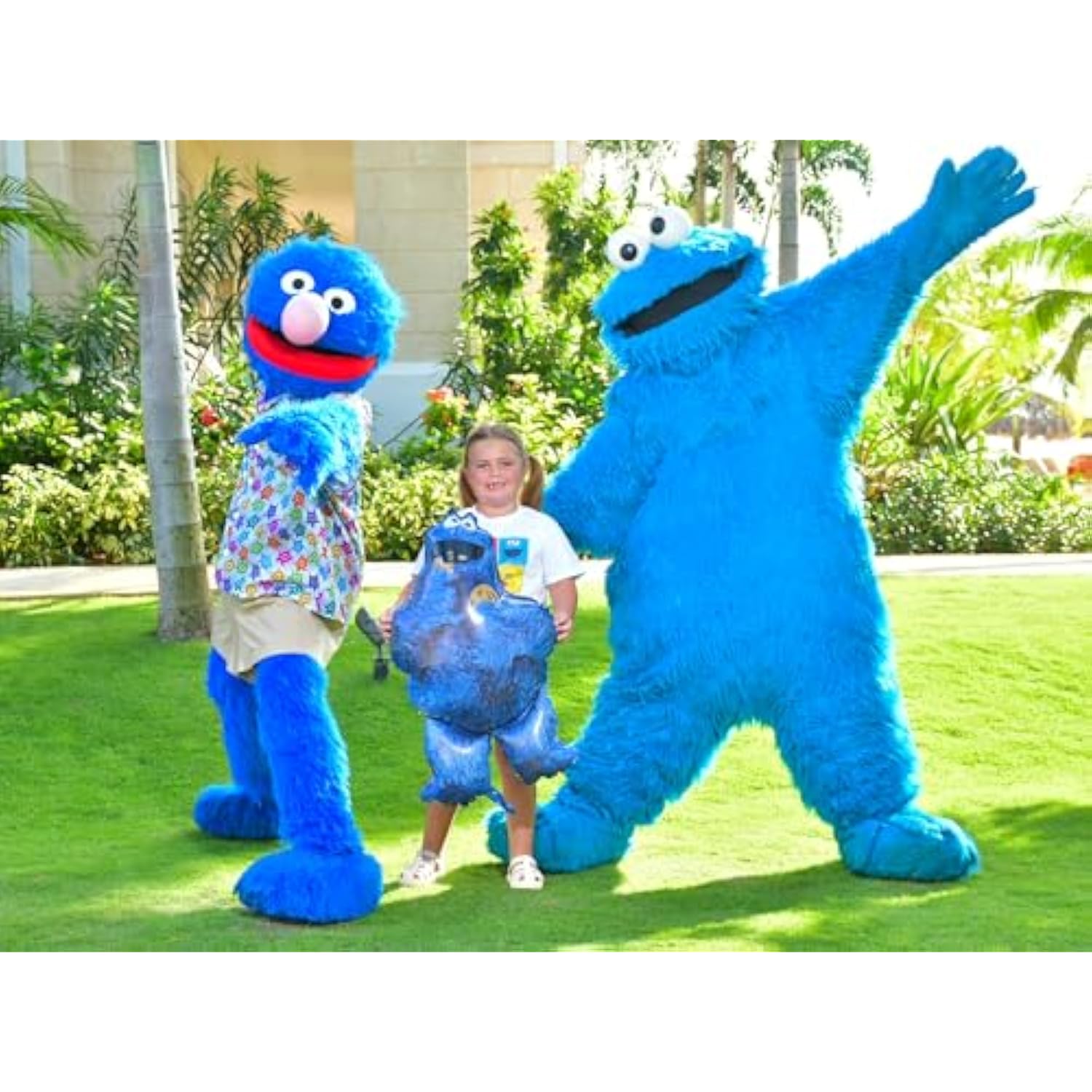 Sesame Street Foil Balloon 3 Pack - 1 X 39" Big Bird, 1 X 37" Elmo & 1 X 35" Cookie Monster Characters - Kids Party Decorations
