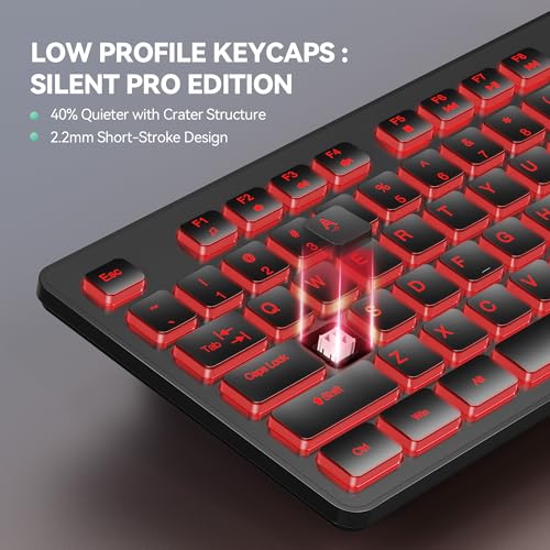 Wired Keyboard,Silent Usb Keyboard For Office,Spill-Resistant,Slim Full-Size Membrane Layout,Plug And Play For Pc/Laptop/Mac-Rgb Backlit