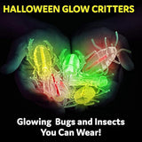Glow Critters and Halloween Trick or Treat Glow Skeletons and Pumpkins - Glow Sticks Party Favors - Glow in The Dark Party Supplies