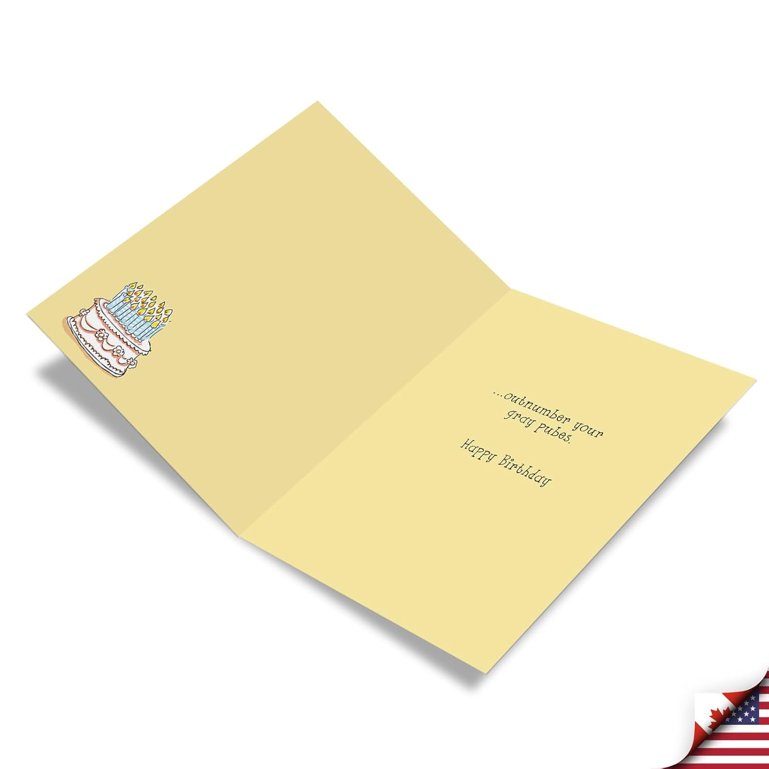 - 1 Jumbo Funny Card For Birthdays (8.5 X 11 Inch) - Cartoon Joke, Humor Bday Card With Envelope - Gray Pubes J1377