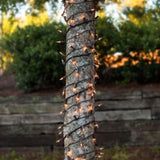 Holiday Pride Clear Christmas Lights With Brown Wire - 100 Count - Warm White Christmas Tree Lights With Brown Cord (22.