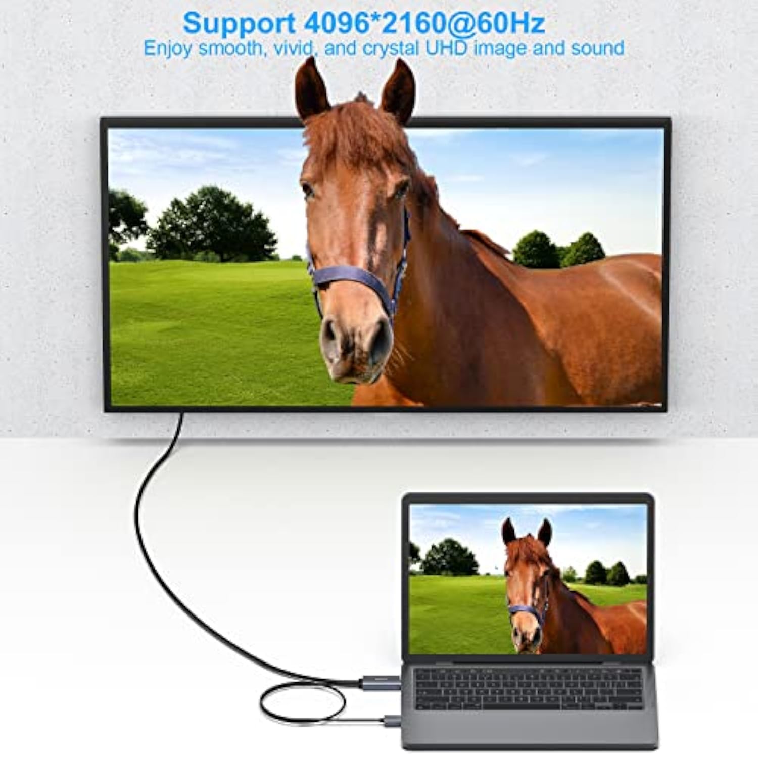 BENFEI HDMI to DisplayPort Cable, 6 Feet HDMI Source to DisplayPort Monitor Co
