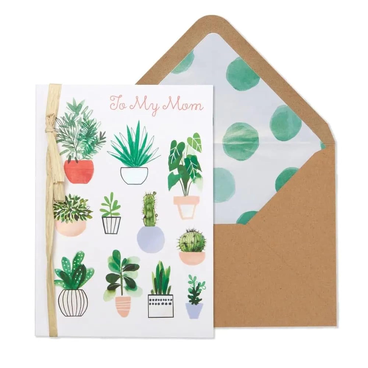 Mother'S Day Card, Houseplants, Includes A Unique Sentiment And Coordinating Envelope (Nmd-0020)