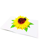 Ladybug 3D Pop Up Greeting Card - Happy Birthday Card, Just Because, Mother'S Day, For Son, Daughter, Kids, Children (Ladybug Pop Up Card)