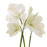 Artificial Amaryllis Flowers, 21.5 Inches, Red, White, Pink, Set Of 3, Faux Lilies For Wedding, Home, Office, Hotel Decor (White)