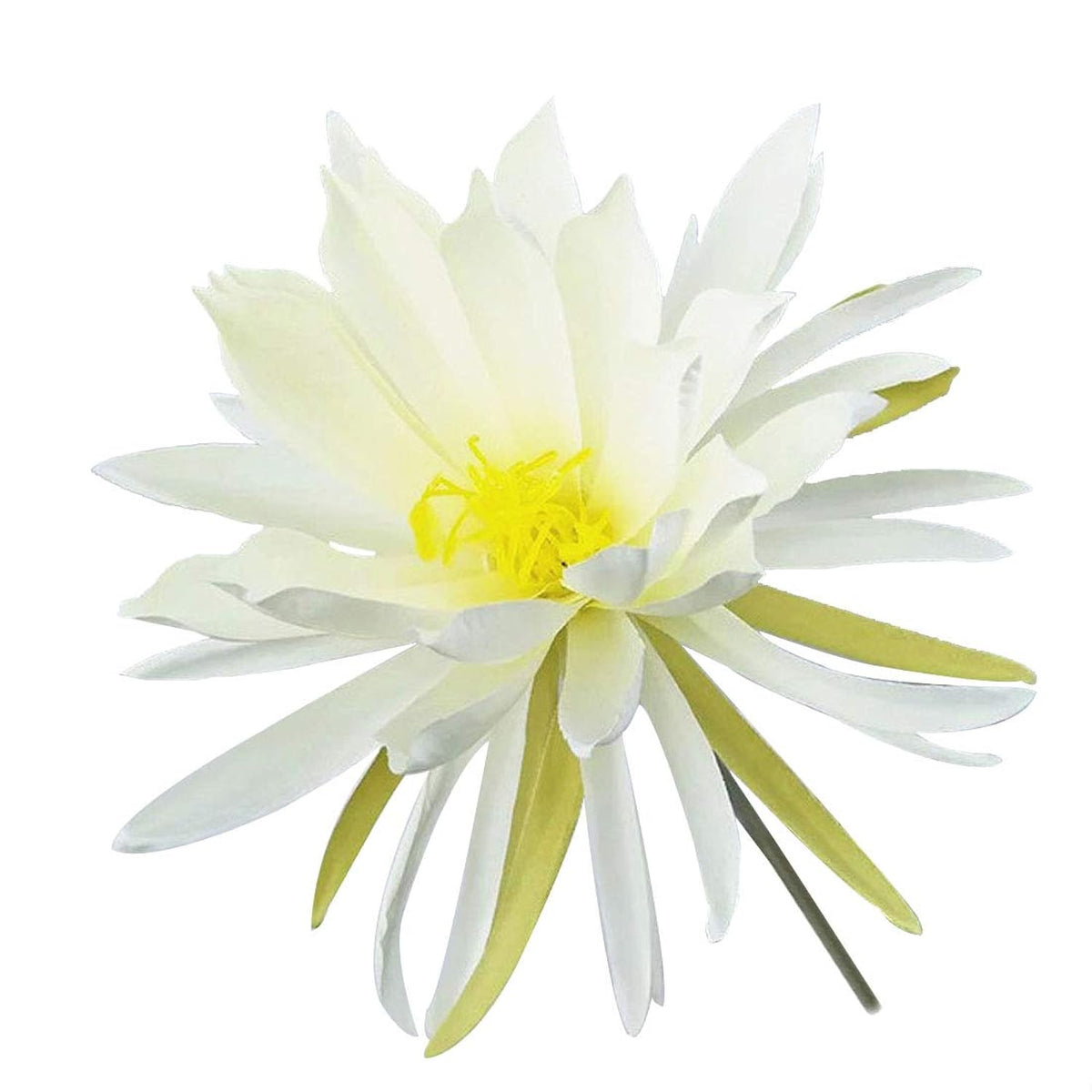 3 Stems Silk Broad-Leaved Epiphyllum Night-Blooming Flowers Orchid Cactus Artificial Flowers (White)