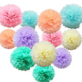 12 Pcs Rainbow Tissue Paper Pom Poms for Birthday, Wedding, Baby Shower Decorations