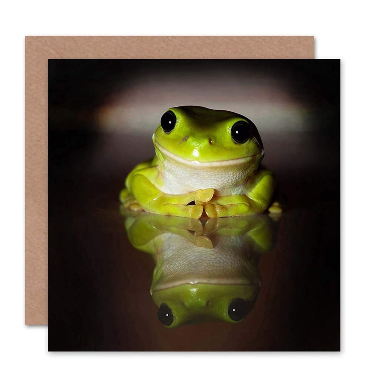Greetings Card Birthday Gift Animal Green Frog Smiling