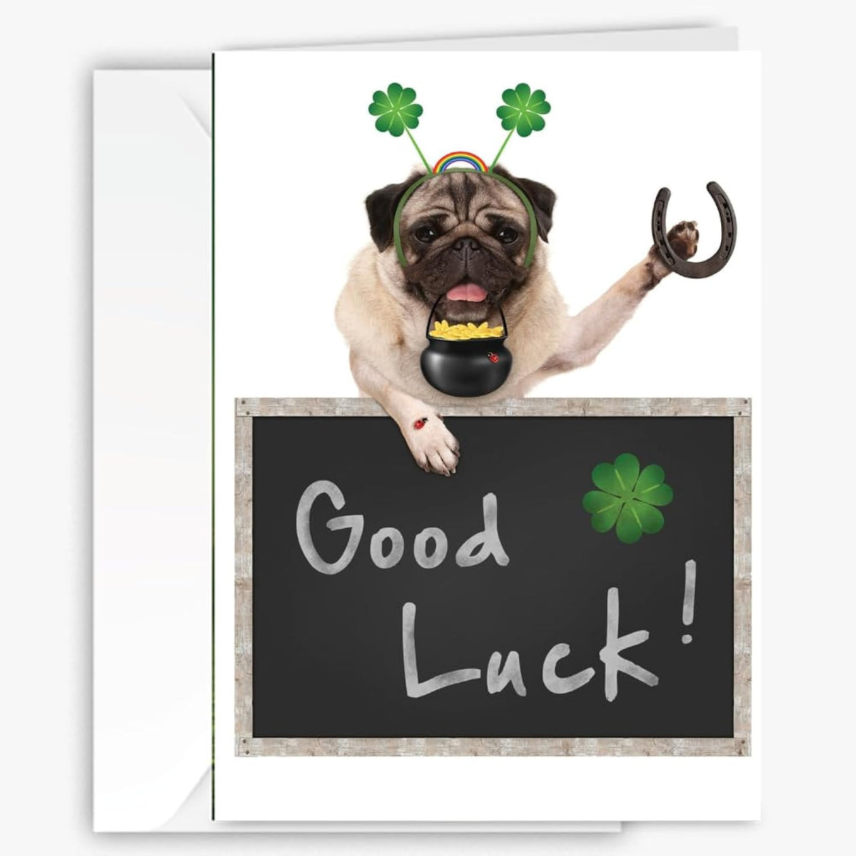 Good Luck Greeting Card - Humerous, Funny - Lucky Inspirational Sentiment Inside - Unique Photography - New Job, Graduation, New Journey & Beginnings - Large 5X7 Inches