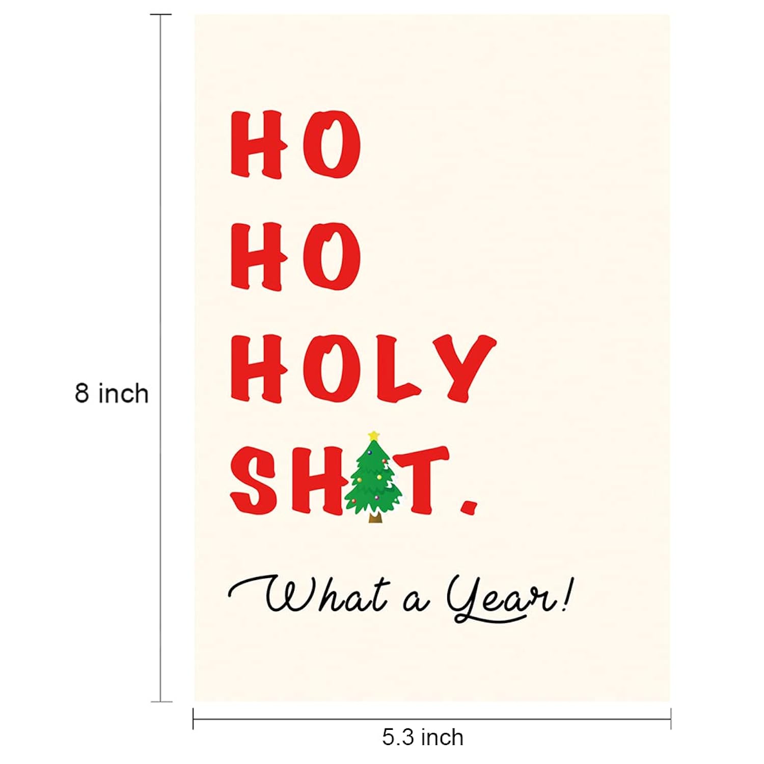 Funny Christmas Card, Merry Christmas Gift, Ho Ho Ho, Holy Shit, What A Year!