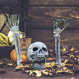 Halloween Skeleton Stakes Decorations, Realistic Skeleton Halloween Decor, Hallo-ween Ske-leton Head and Arms with a Stake for Halloween Yard Scary Skeleton Decor 5pcs