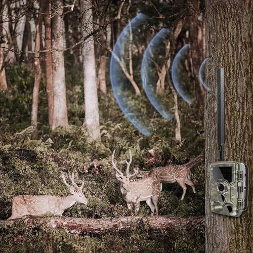 Cellular Trail Camera Replacement Sma Male Antenna Compatible With Spypoint Lm2 Flex Flex-S Flex-M Flex-Dark Flex G-36 Moultrie Edge Spartan Covert 4G Lte Cellular Trail Camera, 2-Pack