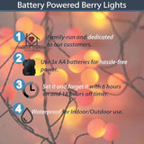 40 Berry Cluster Lights - Outdoor/Indoor Christmas Lights With Timer, Battery Powered Fairy String Lights In Red, Orange